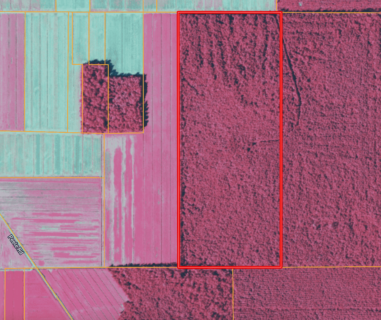 146-Acre Prime Hunting & Timber Land for Sale in Beaufort County, NC